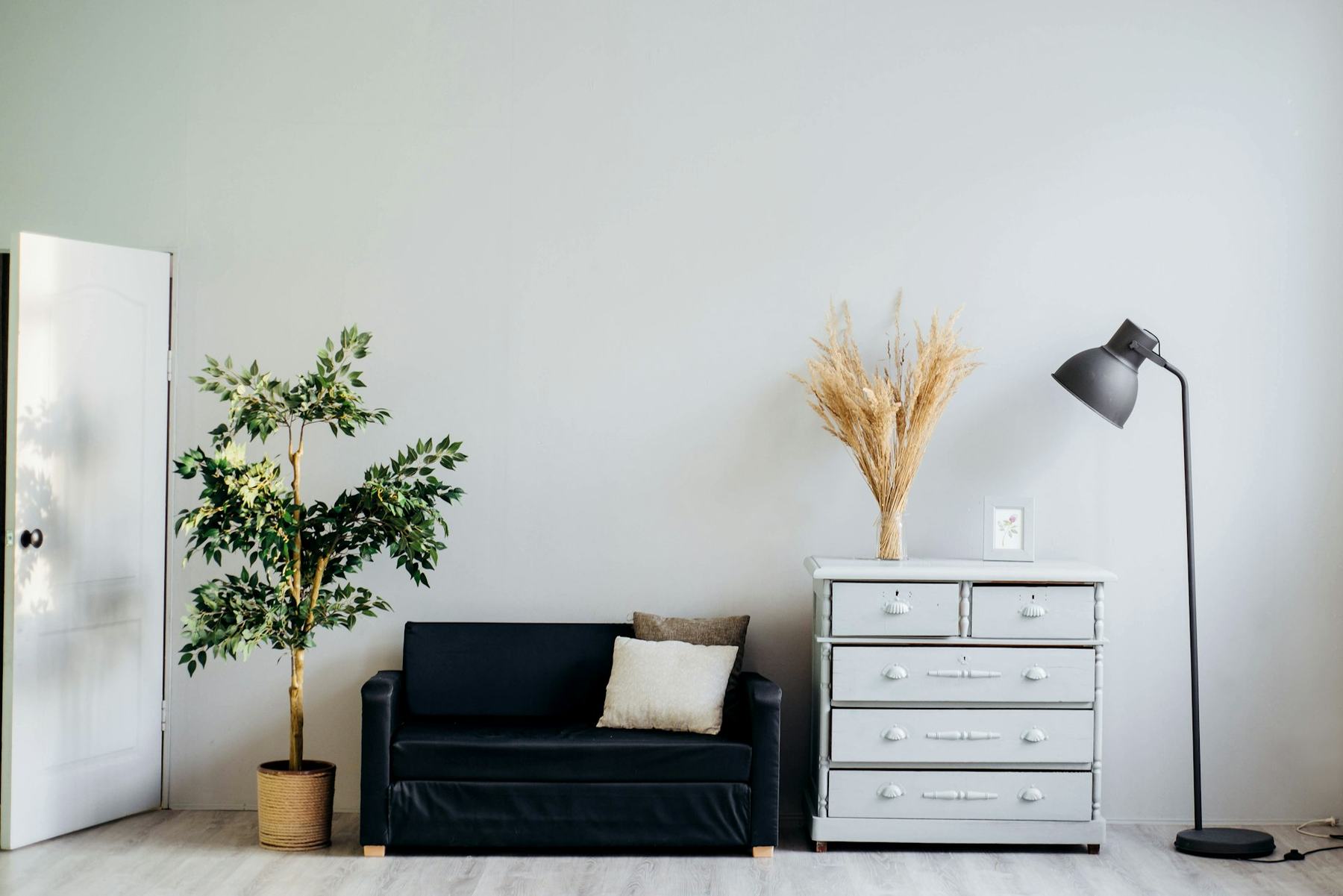 Minimal studio corner with plants